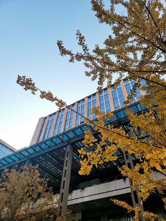 三星折叠屏手机fold 2怎样(三星GalaxyZFold2测评)(17)