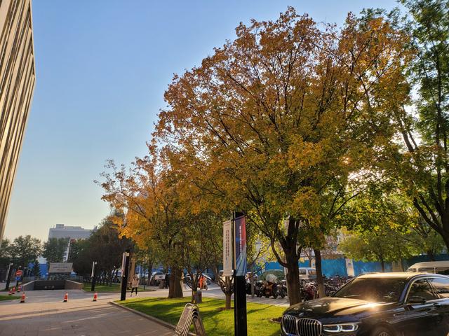 三星折叠屏手机fold 2怎样(三星GalaxyZFold2测评)(18)