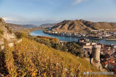 法国拉裴红酒(法国拉斐红酒怎么样)