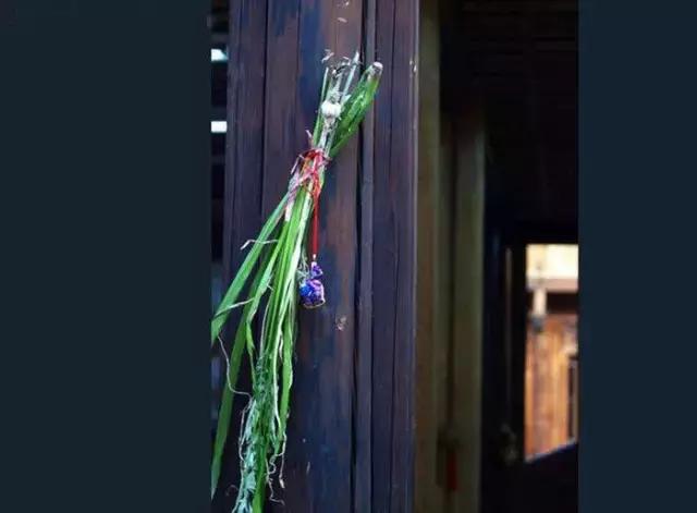 端午节你都做什么事情(端午节话端午)(18)