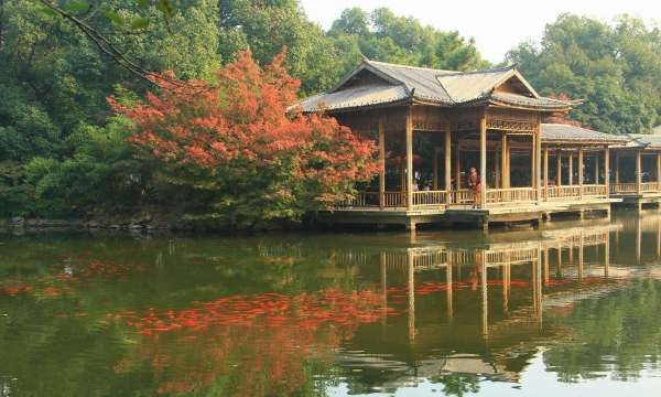 西湖十景有哪些,西湖十景是哪十景图12