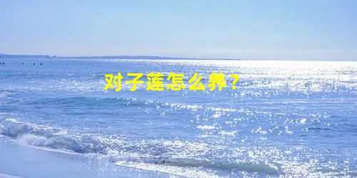 对子莲怎么养(一般对子莲实生苗需养护3—4年方可开花)