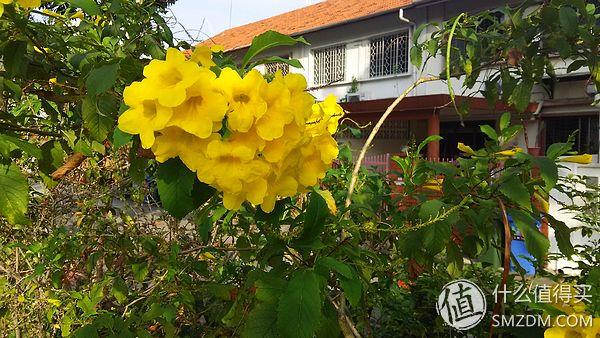 夏普手机中文官方网站（SHARP夏普无边框）(33)