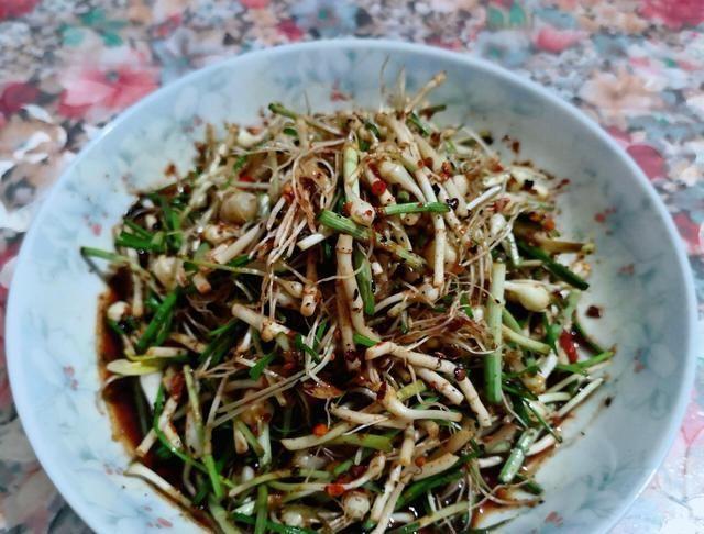 在农村关于野葱的几种吃法:清明前后更得多吃,预防感冒全靠它