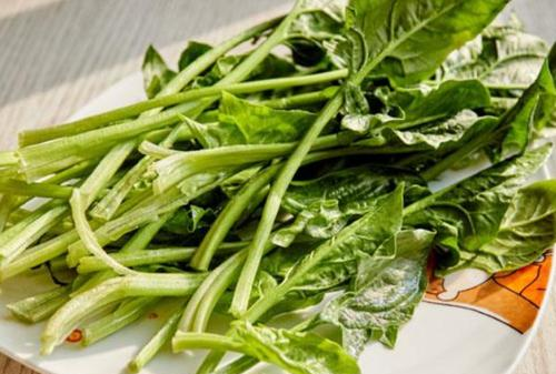 吃菠菜要注意些什么,吃菠菜要注意些什么图3