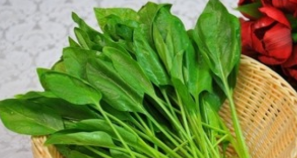 吃菠菜要注意些什么,吃菠菜要注意些什么图6