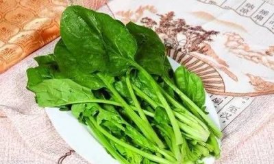 吃菠菜要注意些什么,吃菠菜要注意些什么