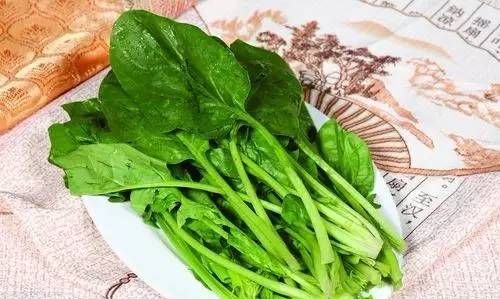 吃菠菜要注意些什么
