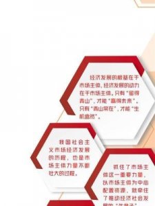 市场主体(市场主体的活力 就是中国经济的韧性)