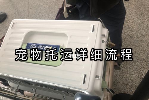 高铁能托运宠物吗