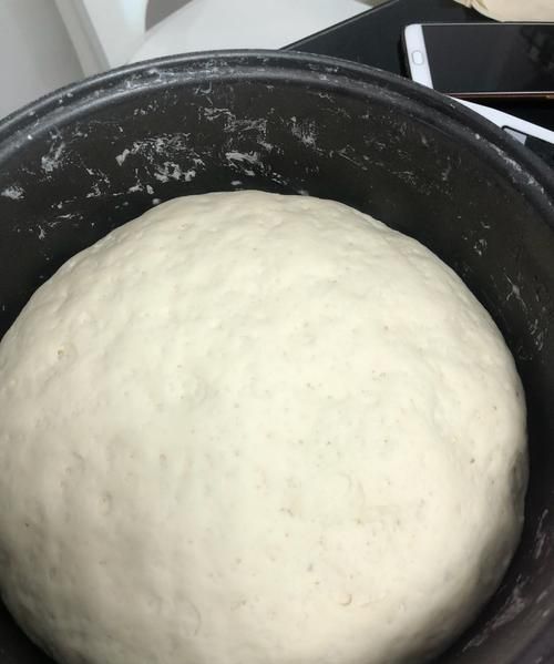 发面包子怎么发面:包子应该怎么发面呢