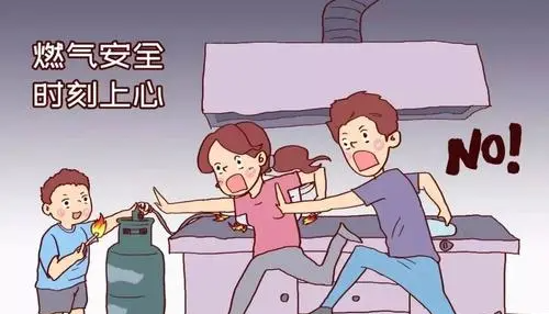 煤气是天然气还是液化气,瓶装煤气是液化气还是天然气图1