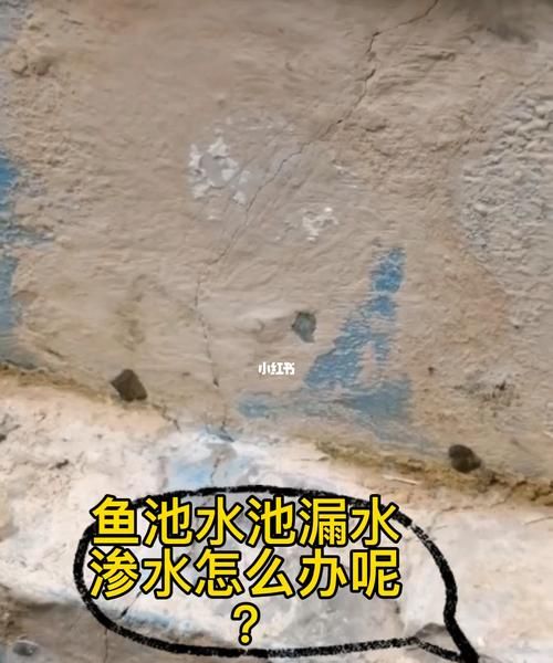 新挖的池塘漏水很严重怎么办
