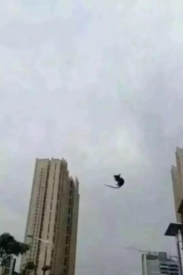 “玛莉亚”已致福建18.76万人受灾！风雨影响还在持续……