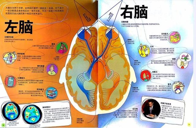2岁萌娃自带小板凳监工挖掘机(2岁萌娃自带小板凳监工挖掘机)(5)