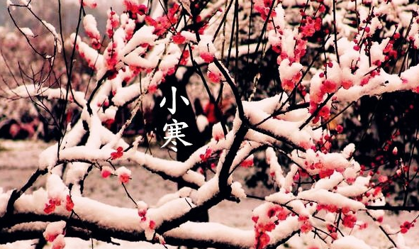小寒节气的含义是什么