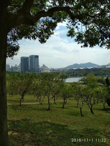 中山紫马岭公园门票多少钱一张(中山紫马岭公园灵异事件)-第2张图片-