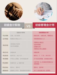 管理会计师与初级会计区别(什么是管理会计师)