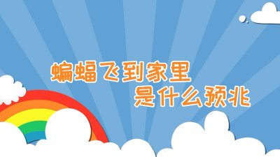 蝙蝠进屋有什么预兆(蝙蝠进宅暗示什么)