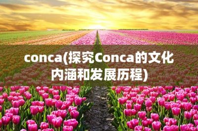 conca(探究Conca的文化内涵和发展历程)