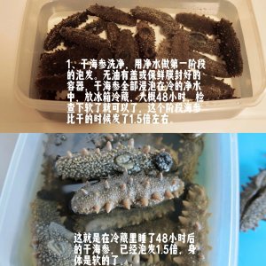 ​海参泡发三步搞定！