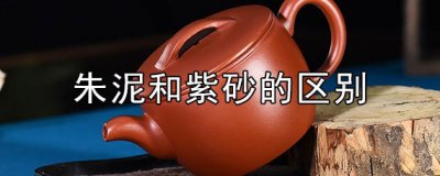 ​朱泥和紫砂有什么区别 朱泥壶适合泡什么茶