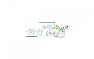 ​婚姻修复真的有用吗？介绍5种不为人知的情感挽回方法