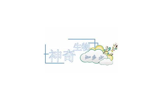 婚姻修复真的有用吗?介绍5种不为人知的情感挽回方法 婚姻修复真的有用吗?介绍5种不为人知的情感挽回方法