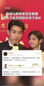 ​陈晓陈妍希官宣离婚，8 年婚姻画上句号，网传八卦大揭秘