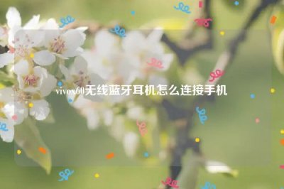 ​vivox60无线蓝牙耳机怎么连接手机