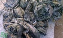 海带上有毛毛能吃吗?海带上有毛毛怎么处理?