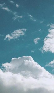 ​做人的基本原则有哪些(做人基本的原则是什么)