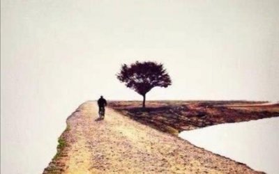 ​关系一般的同事结婚要随礼么(普通同事结婚要不要随礼)