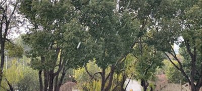 刚刚下的是冰雹、雪还是冰粒?上海气象局:浦东短时出现冰粒和霰粒子