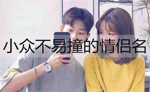 小众不易撞的情侣名1