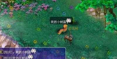 梦幻西游摇钱树苗怎么种出好东西