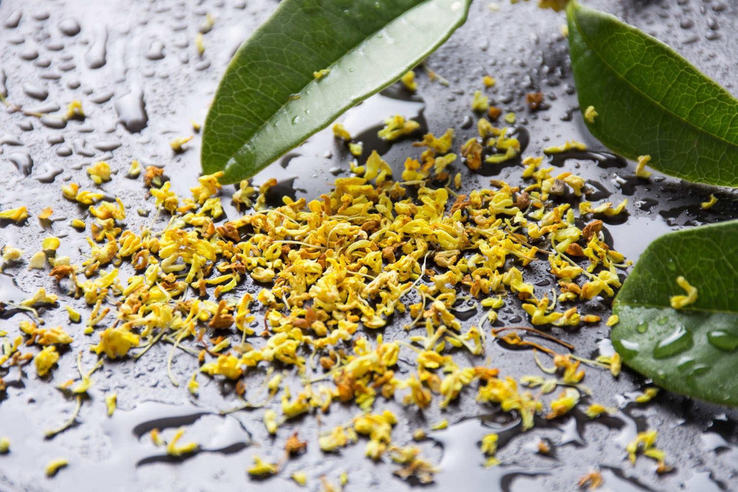 桂花 桂花