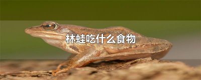 林蛙吃什么食物