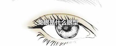 龙眼是什么眼型