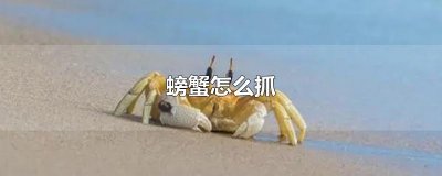 螃蟹怎么抓