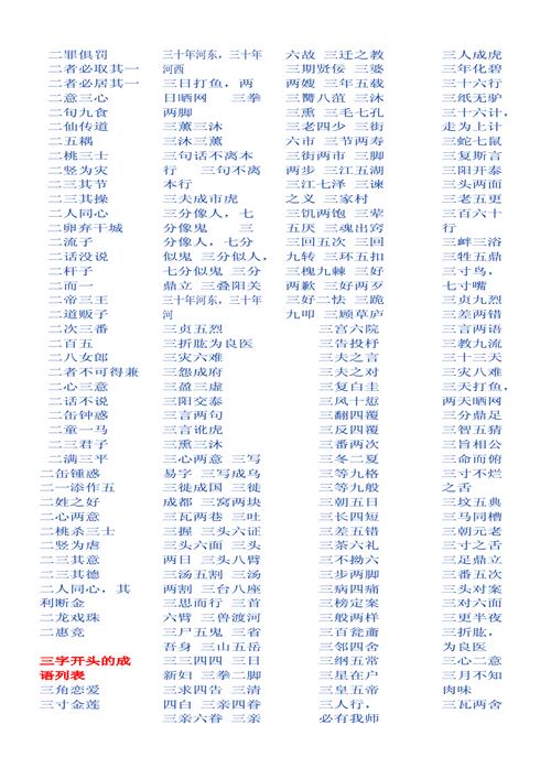 开头是俩的成语有哪些