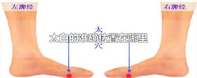 ​太白的准确位置在哪里