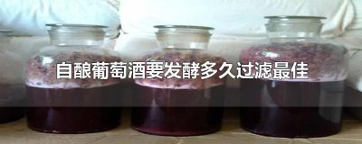 ​自酿葡萄酒要发酵多久过滤最佳
