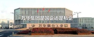 ​万华集团是国企还是私企