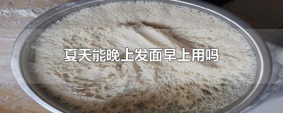 ​夏天能晚上发面早上用吗