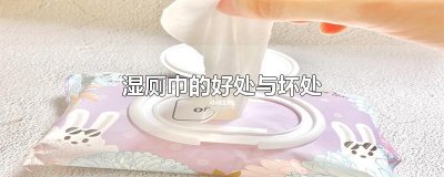​湿厕巾的好处与坏处