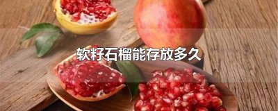 ​软籽石榴能存放多久
