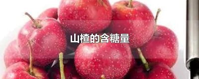 ​山楂的含糖量