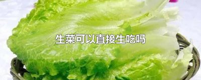 ​生菜可以直接生吃吗