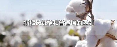 ​新疆长绒棉和普通棉的区别